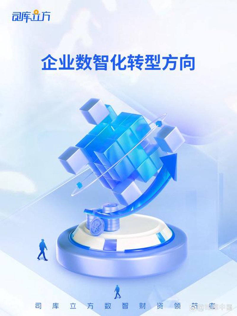 系统集成：构建信息时代的桥梁
